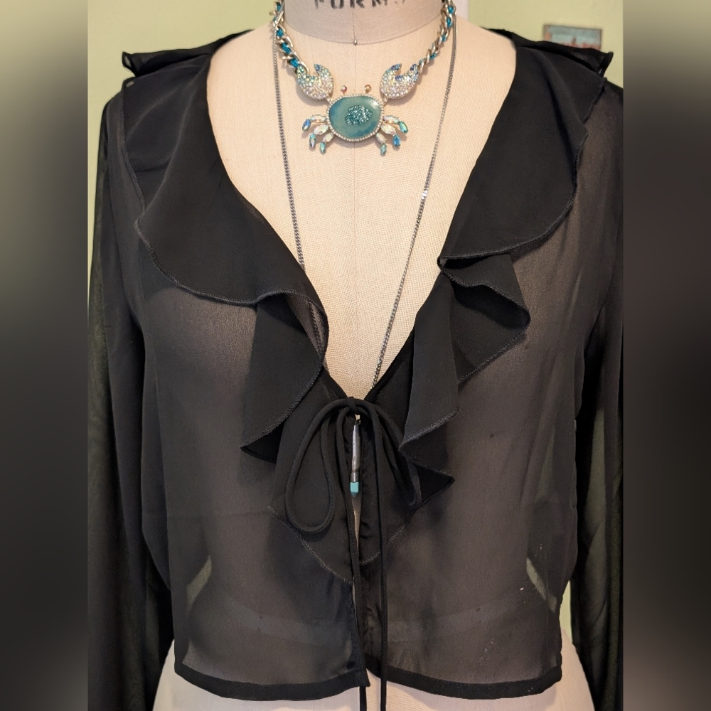 Twik Black Sheer Ruffle Jacket - Picture 2 of 9